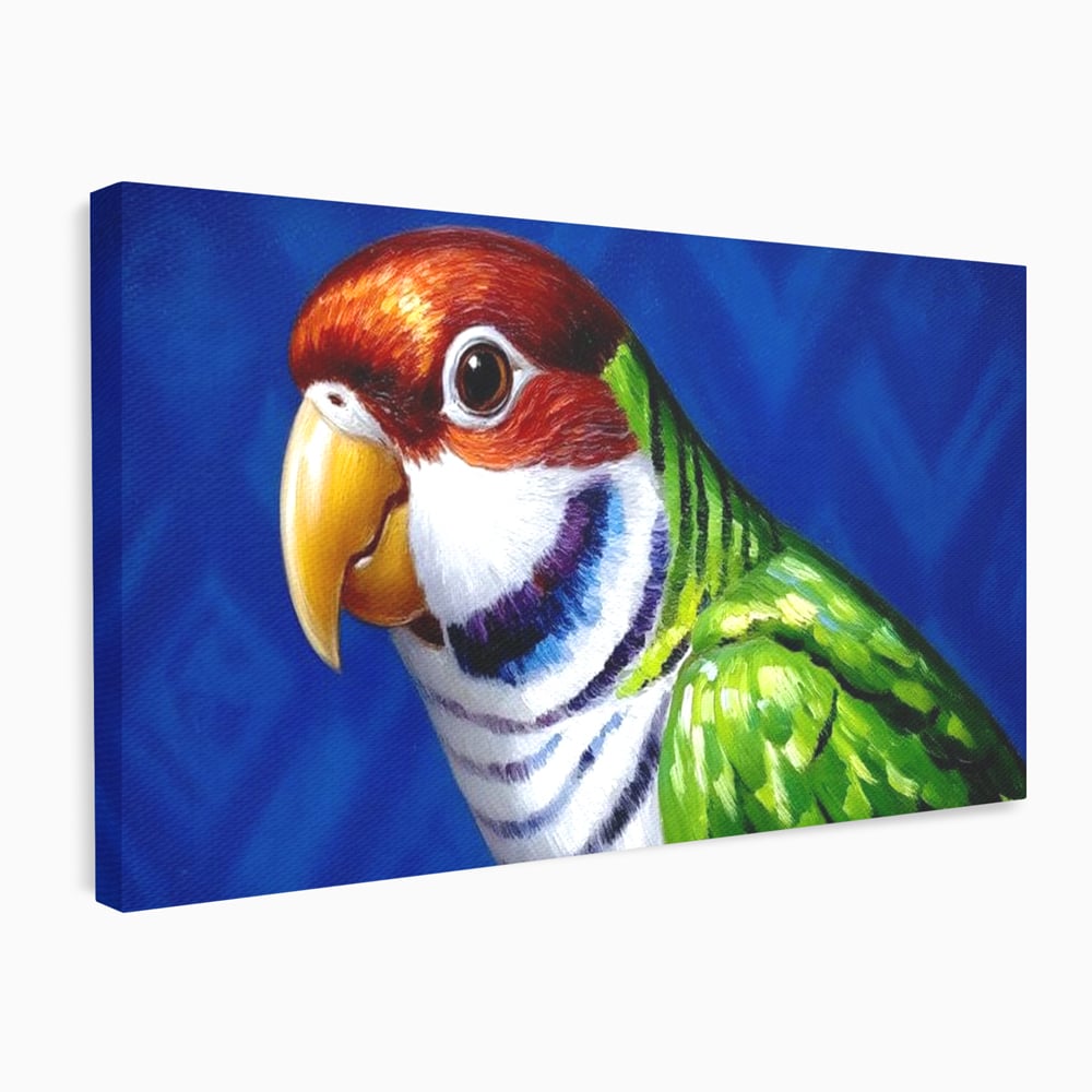 Tablou canvas cu pictura cu cap de papagal colorat, fara rama, pe sasiu de lemn